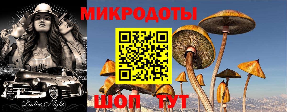 Псилоцибиновые грибы мицелий  Псилоцибиновые грибы Psilocybine cubensis  Великие Луки  Вход с VPN 